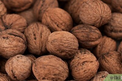 How to Crack Open Black Walnuts