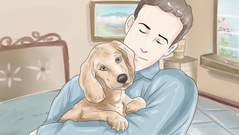 How to Start a Dog Rescue