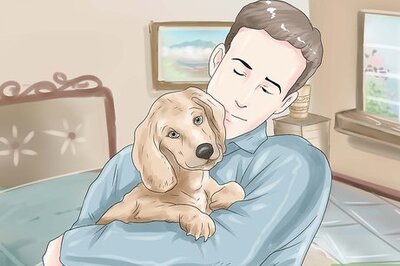 How to Start a Dog Rescue