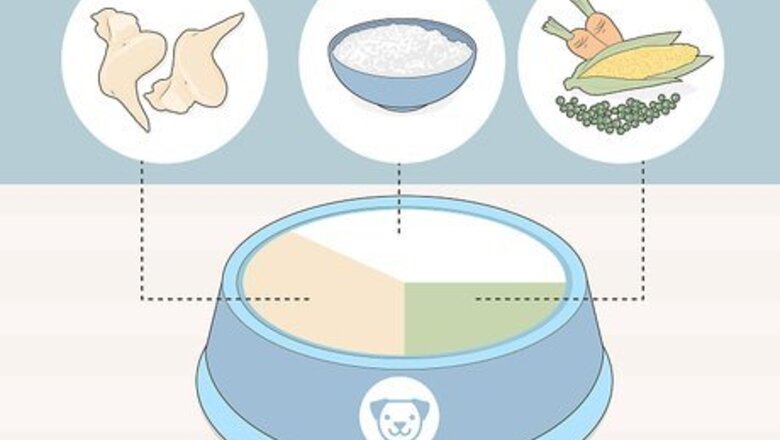 How to Feed Pets when You Can't Find Pet Food
