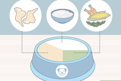 How to Feed Pets when You Can't Find Pet Food