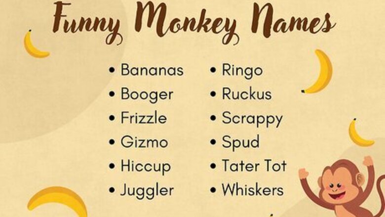 260 Names for Monkeys That Will Make You Go Bananas