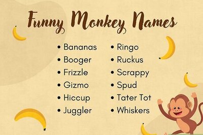 260 Names for Monkeys That Will Make You Go Bananas