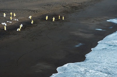 Brazil Says More Than 100 Tons of Oil Spilled Along Coast, 42 Cities Affected