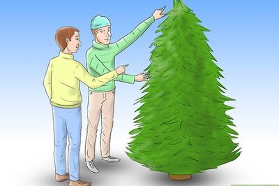 How to Care for a Christmas Tree