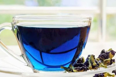 Can Your Holiday Drinks Boost Immunity? Expert Answers