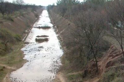 Opinion | SYL Canal Debate: Punjab Has Already Been Exporting ‘Virtual’ Water