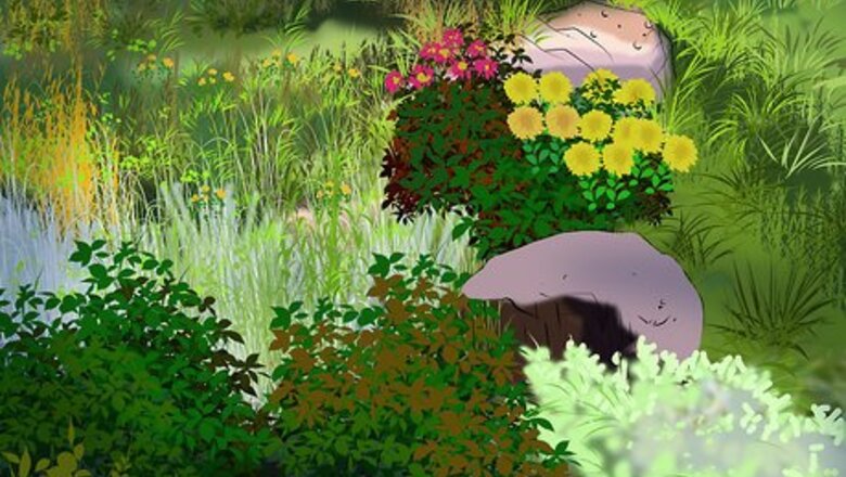 How to Help the Forest Preserve Its Diversity