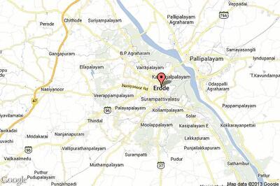 Female elephant found dead; surgeons rule out poaching attempt