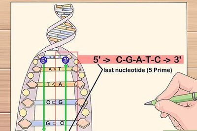 How to Find the Reverse Complement of a DNA Sequence
