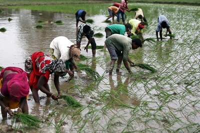 Sowing of Kharif Summer Crops Touches New Record at 1,095.38 Lakh Hectare: Govt