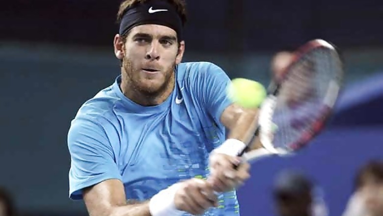 Del Potro wins twice to reach Citi Open quarter-finals
