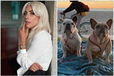 Lady Gaga’s Dog Walker Speaks Out After Hollywood Shooting