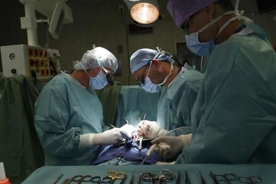 'Humanity is Above Religion': Two Women Donate Their Kidneys to Each Other's Families in Delhi | Details