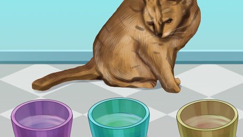 How to Feed Different Diets to Multiple Cats