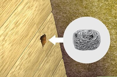 How to Keep Bees Away from Your House