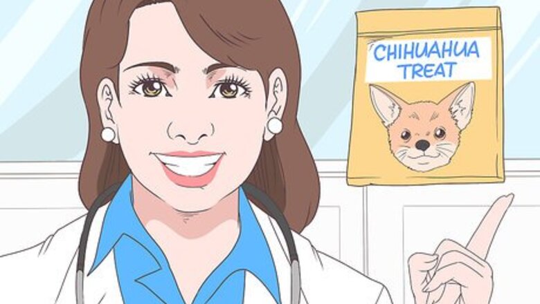 How to Train Chihuahuas