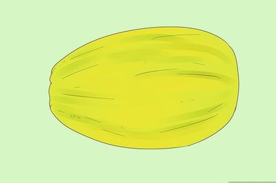 How to Save Spaghetti Squash Seeds