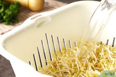 How to Freeze Bean Sprouts