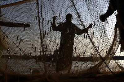 Sri Lanka releases 51 Indian fishermen