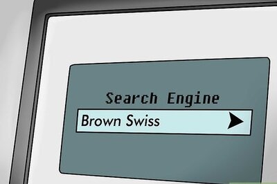 How to Identify Brown Swiss Cattle