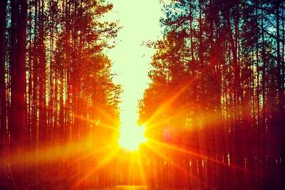 Aaj Ka Panchang, October 5, 2024: Tithi, Vrat, and Shubh, Ashubh Muhurat on Navratri Day 3