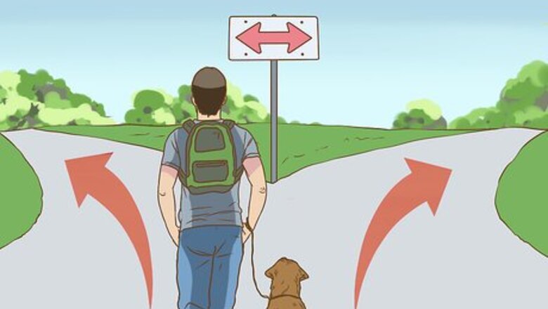 How to Have Fun While You're Walking Your Dog