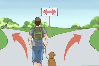 How to Have Fun While You're Walking Your Dog
