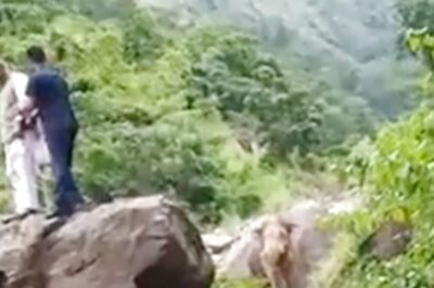 WATCH: Former Uttarakhand CM Trivendra Rawat Climbs Rock to Save Himself From Elephant