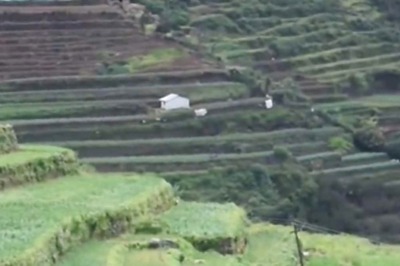 Why Garlic Cultivation Is Popular In Tamil Nadu’s Kodaikanal