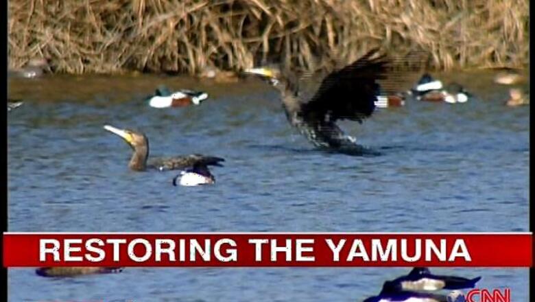 Yamuna Bachao Yatra activists to reach Delhi on Monday