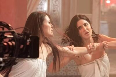 Tiger 3: Stuntwoman Michelle Lee Calls Katrina Kaif 'Graceful' In Towel Fight Scene, Says 'She Worked Hard'