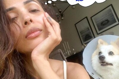 Malaika Arora and Her Dog are Looking for an Answer Every Indian in Lockdown is Searching for