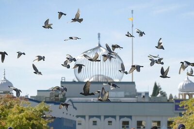 Nijjar Killing in Canada: A Coordinated Op Followed by Slow Response, Turf Battle & Botched Probe | WaPo Report