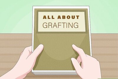 3 Effective Ways to Graft Plants Together