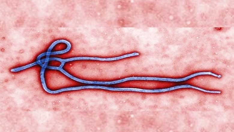Ebola-hit Sierra Leone to lock down 2.5 million people