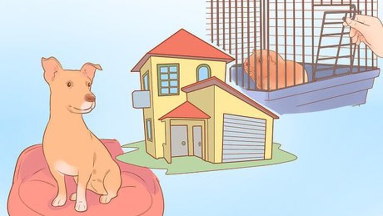 How to Be a Responsible Pet Parent