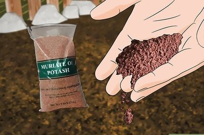 How to Add Potassium to an Organic Garden