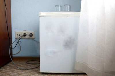 18 Years After She Went Missing, Croatian Woman's Body Found in Sister's Freezer