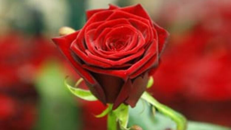 In Pics: They all said 'I love you' in this way...