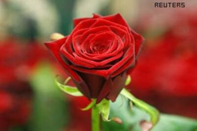 In Pics: They all said 'I love you' in this way...