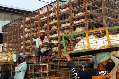 Ahead of Bakrid, Tripura Govt Asks Cops, DMs to Check Illegal Transport, Slaughter of Animals