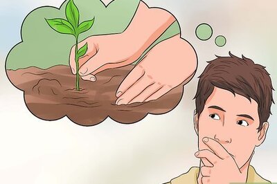 How to Become a Forest Ranger