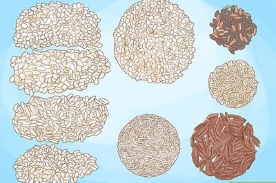 A Beginner’s Guide to Growing Rice