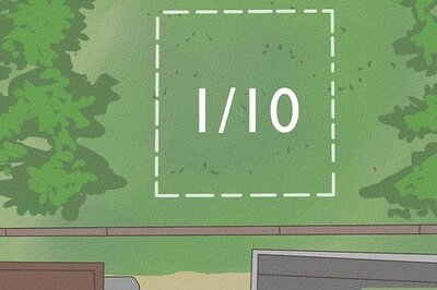 How to Get Started Beekeeping