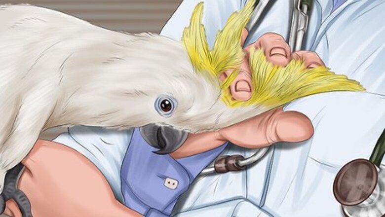 How to Pack and Move Your Bird