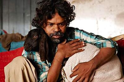 'Peepli Live' actor Omkar Das Manikpuri joins AAP