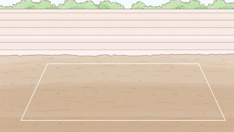 How to Grow Elderberries