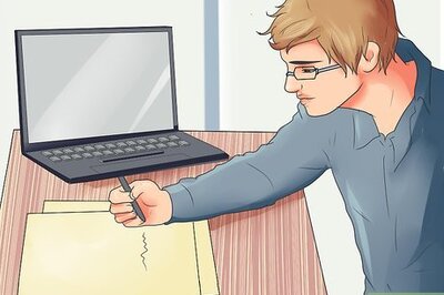 How to Write an Expository Essay on an Animal