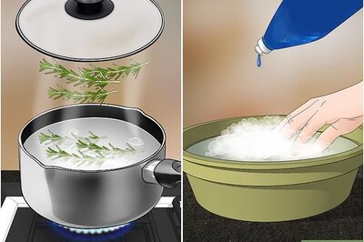 How to Kill Fleas Naturally